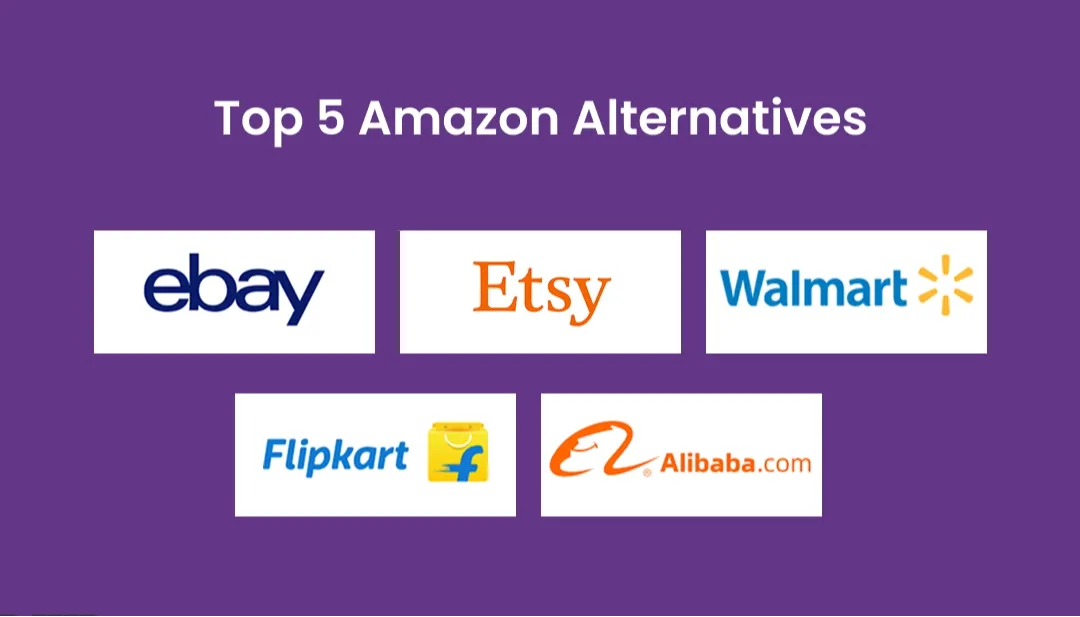 Top 5 Amazon Alternatives to Study