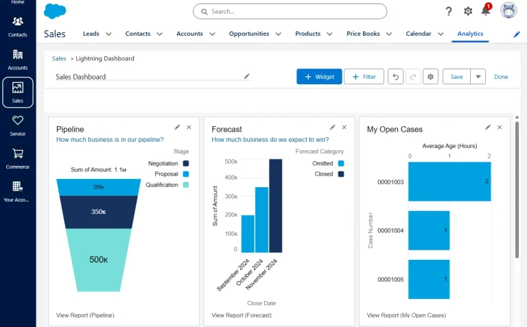 Salesforce: Customer Relationship Management (CRM) Solutions