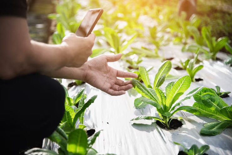 Crop Farming & Precision Agriculture software – HomeNest Software Crop Farming & Precision Agriculture software - HomeNest Software