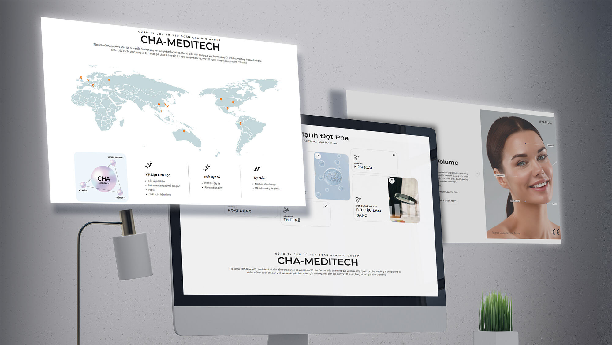 hyafilia interface project - case study