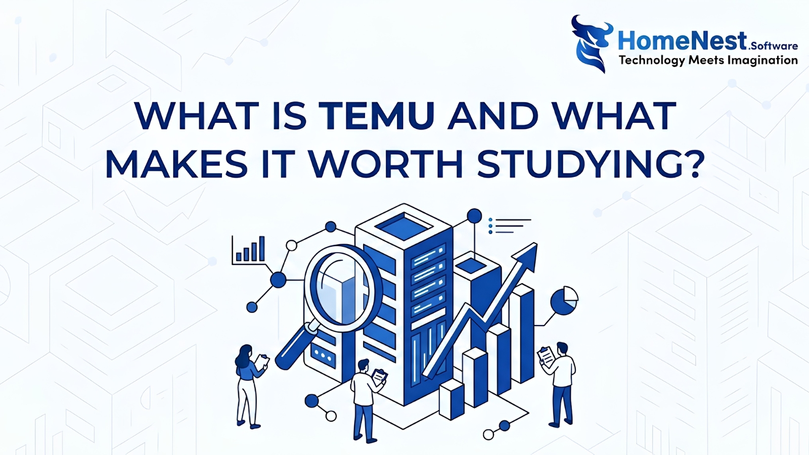 What Is Temu and What Makes It Worth Studying